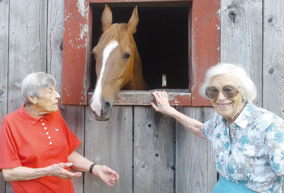 Marge Wenzel, (L) checks on her Saddlebred mare, Paige, accompanied by her good friend, Jackie Houserman (R).